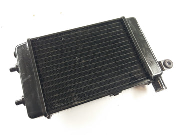 Aprilia RSV 1000 Tuono RP [2005] - Water Cooler Radiator