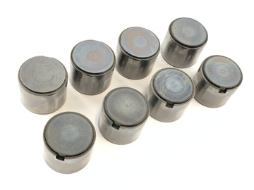 Triumph Thruxton 900 [2004] - pestle cups pestle cups