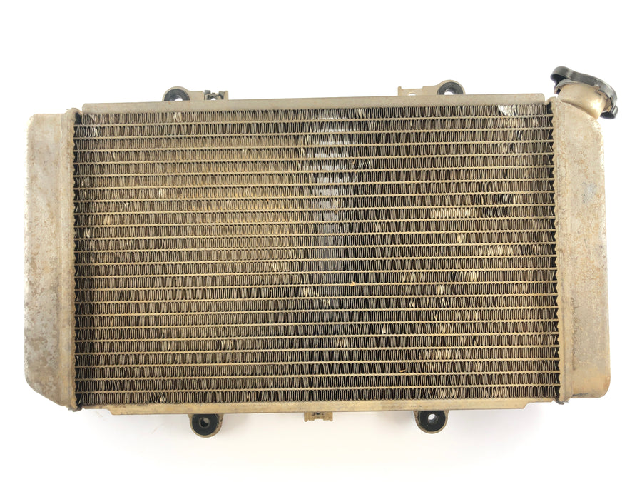 Yamaha Grizzly 660 AM03W [2003] - Radiateur d'eau