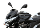 Kawasaki Z 800 – Spoilerscheibe "S"-1