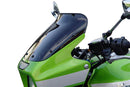 Kawasaki ZRX 1100 97- / 1200 R 01- – Spoilerscheibe "S"-2