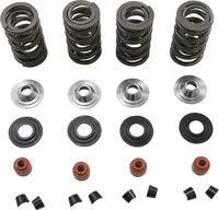 Harley-Davidson XL 1200 Sportster [2020] - Endurance Beehive® valve springs with titanium spring plates - picture 8