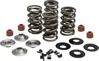Harley-Davidson XL 1200 Sportster [2020] - Endurance Beehive® valve springs with titanium spring plates - picture 10