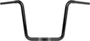 harley davidson fltruse [LA CHOPPERS] – Guidons ronds jumeaux-1
