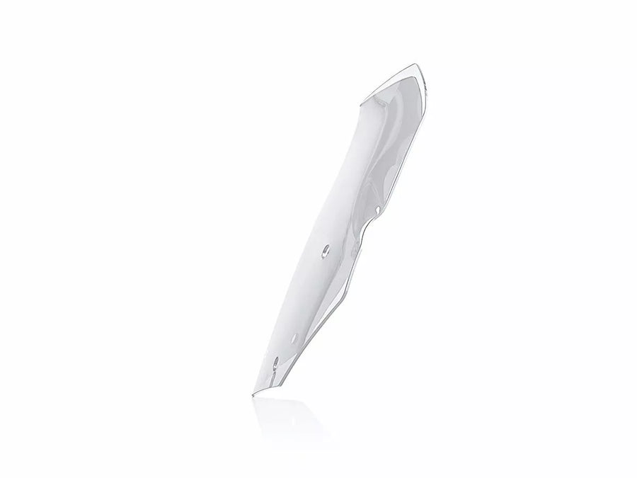 BMW R 1200 GS [WRS] – Windschild