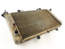 Yamaha Grizzly 660 AM03W [2003] - Radiateur d'eau-4