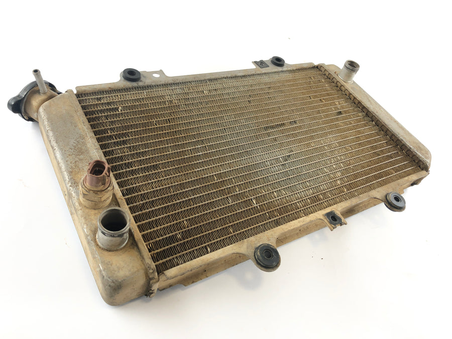 Yamaha Grizzly 660 AM03W [2003] - Radiateur d'eau