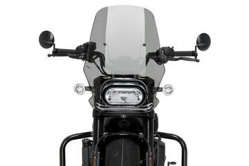 HARLEY DAVIDSON SPORTSTER S RH 1250 S [2024] – New Generation Touring – Tinted
