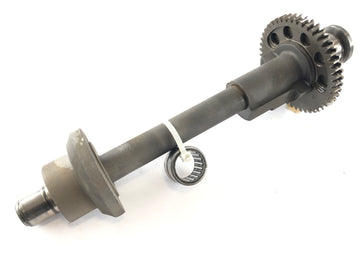 Triumph Speed ​​Triple 955i T509 [1997] - balance shaft - 0