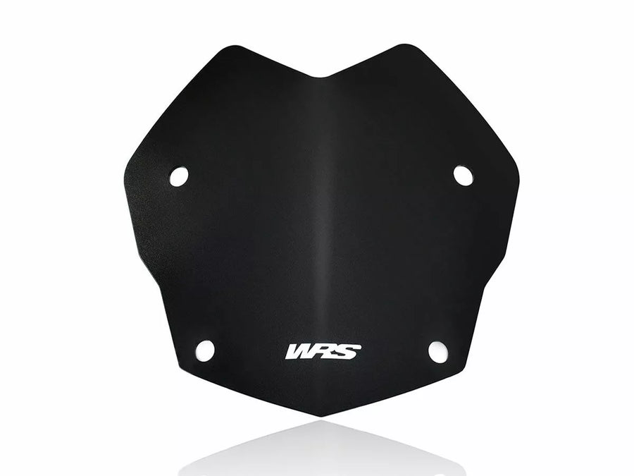 BMW R 1200 R [WRS] - windshield