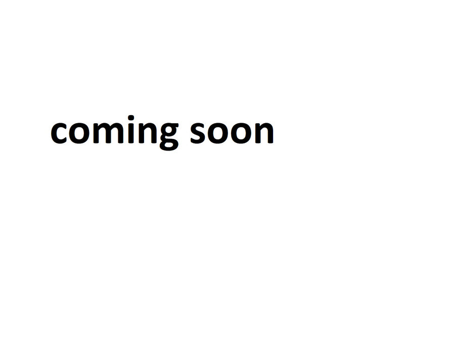 Honda CBR 600 F [2011-]-Racing disc "R"