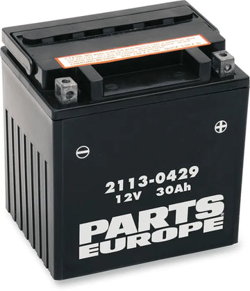 California 1000 [PARTS EUROPE] – Parts Europe Batterie