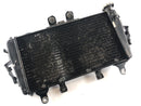 Triumph Tiger 1050 115NG [2016] - Radiateur d'eau-1