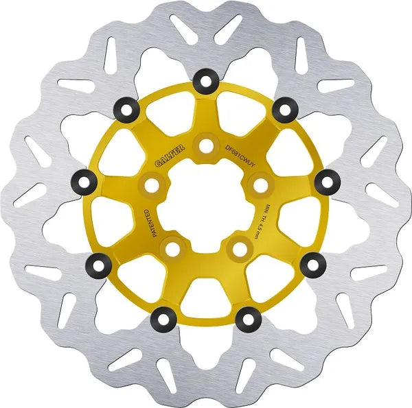 Harley-Davidson XL 1200 R Sportster Roadster [2008] - brake discs - surface: gold, silver - picture 3