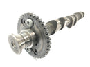 Triumph Daytona 900 T300 [1996] - Intake camshaft camshaft-6