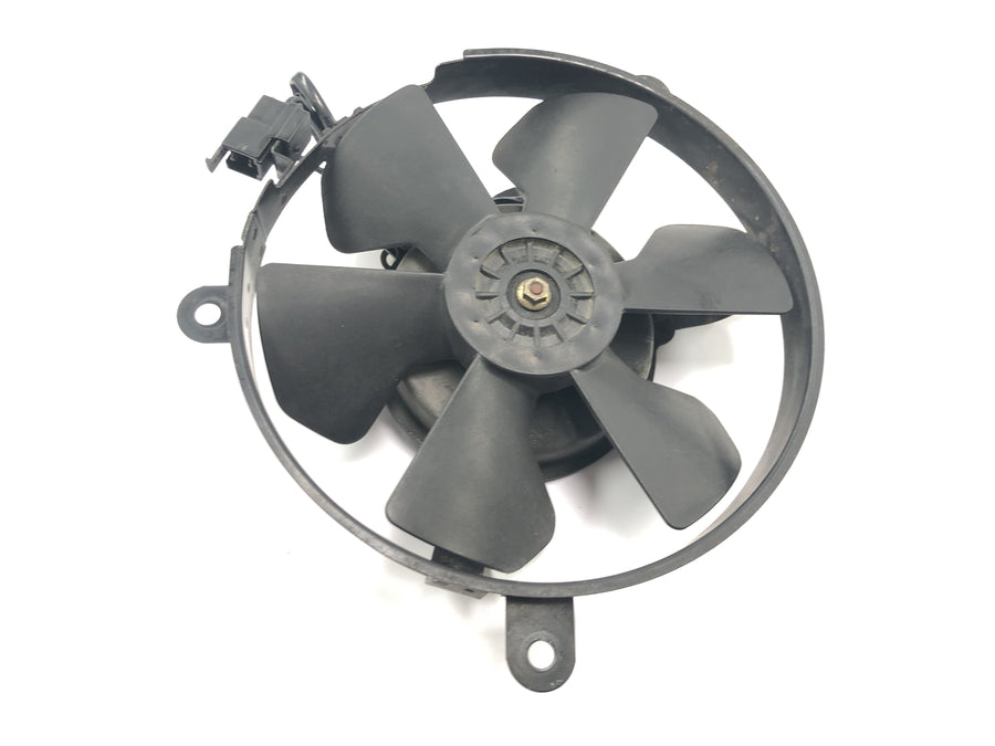 Honda CBR 900 RR Fireblade SC33 [2000] - Radiator fan wheel electric fan
