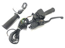 BMW F 650 GS Dakar [2007] - Handlebar switch right Throttle with handbrake pump-4