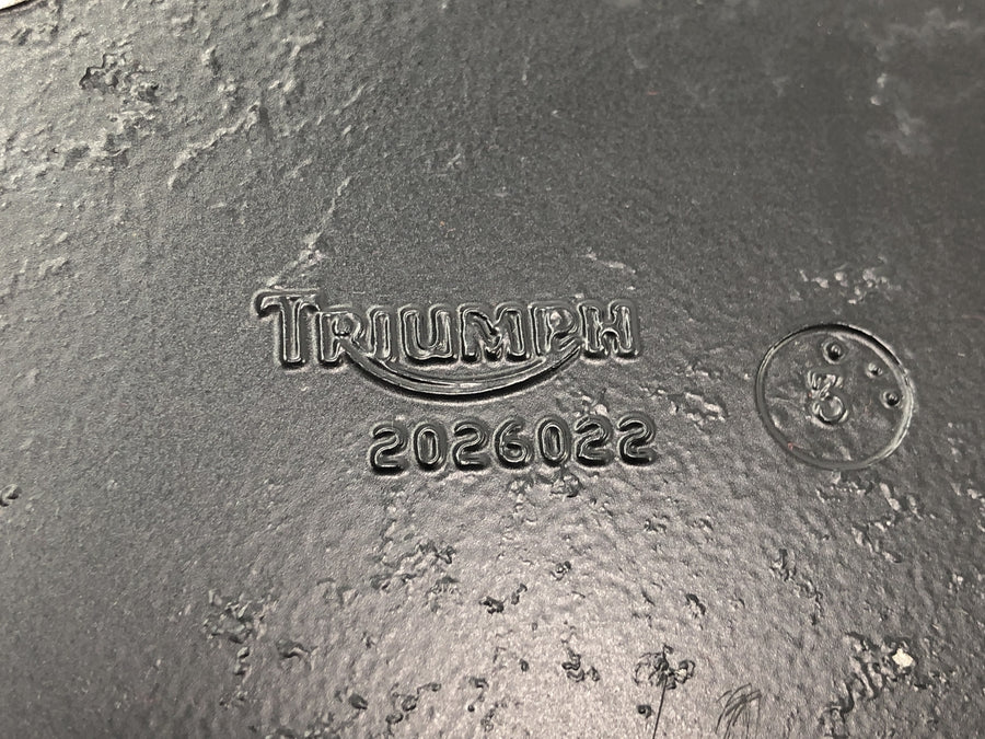 Triumph Speedmaster 900 [2003] - Bremsanker hinten Bremssattelaufnahme