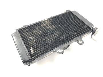 KTM RC 125 [2016] - Kühler Wasserkühler Kühlsystem Radiator mit Lüfter - 0