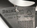 Benelli TNT 1130 [2009] - Kühlerabdeckung hinten-3