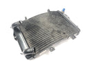 KTM Duke 690 A3 [2012] - Radiator water cooler cooling system radiator front-5