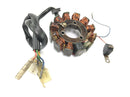 Suzuki RG 250 Gamma GJ21D [1987] - Stator Lichtmaschine Generator Zündspule Lima-5