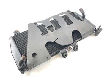 Triumph Daytona 955i T595N [2003] - Kühler Wasserkühler Radiator vorne - 0