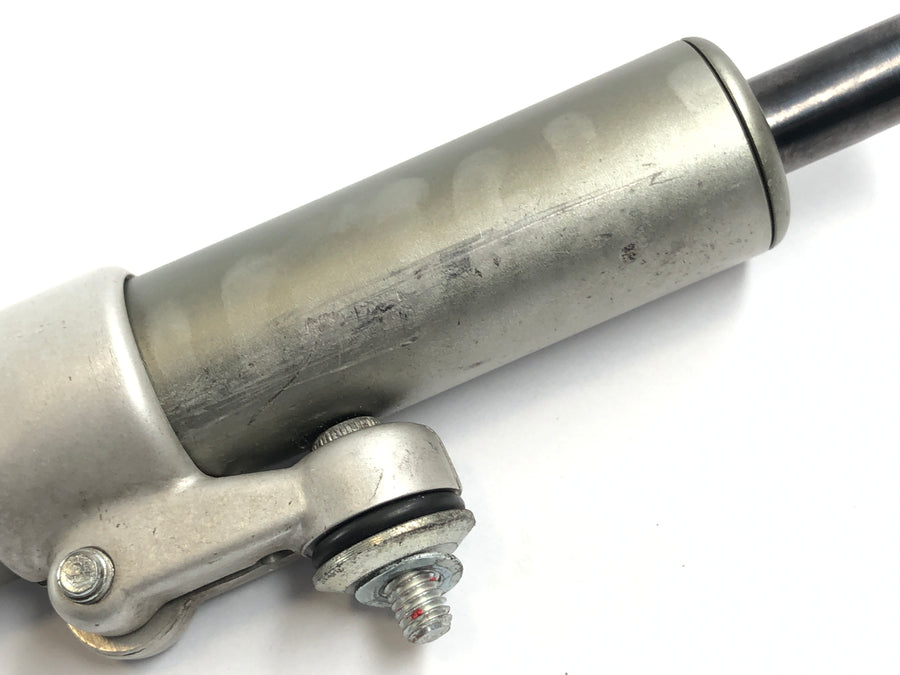 Ducati 1098 S H7 [2009] - steering damper