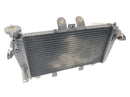Triumph Speed Triple 1050 515NJ [2007] - Radiator Motorcycle Radiator Heat Exchanger-2