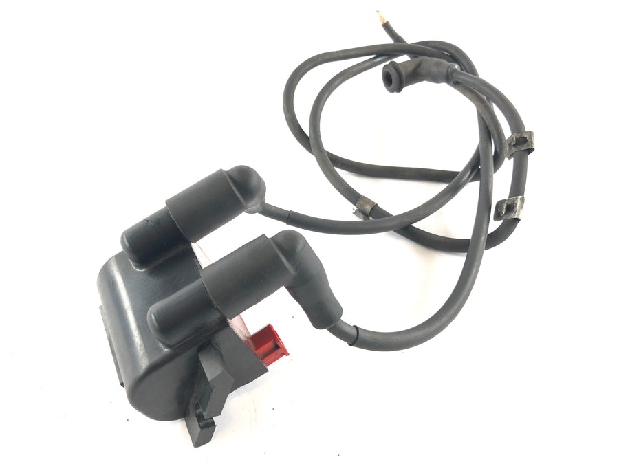 BMW R 1150 R R21 [2002] - Zündspule mit Stecker