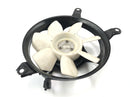 Triumph Daytona 955i T595N [2003] - cooler fan fan engine-2