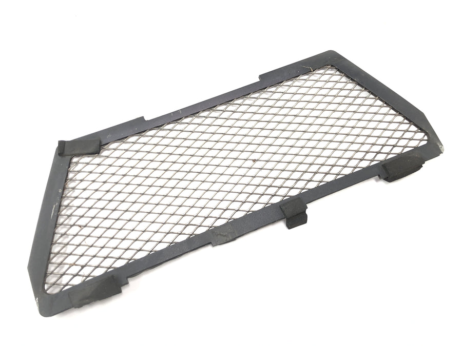 BMW R 1150 GS R21 [2002] - Radiator grille protective grille panel at the front