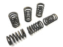 Ducati 900 SS [1991] - Clutch springs-1