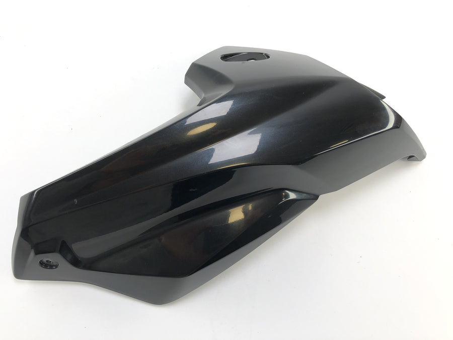BMW K 1300 R K12S [2014] - Side panel left