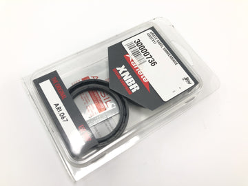 Honda CBR 900 RR Fireblade SC33 [2000] - Fork seal ring fork seal ring