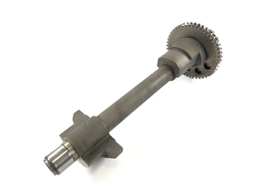 Triumph Speed ​​Triple 955i [1999] - balance shaft - 0