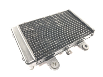 Triumph Adventurer 900 T309RT [1998] - Radiator water cooler radiator cooling system - 0