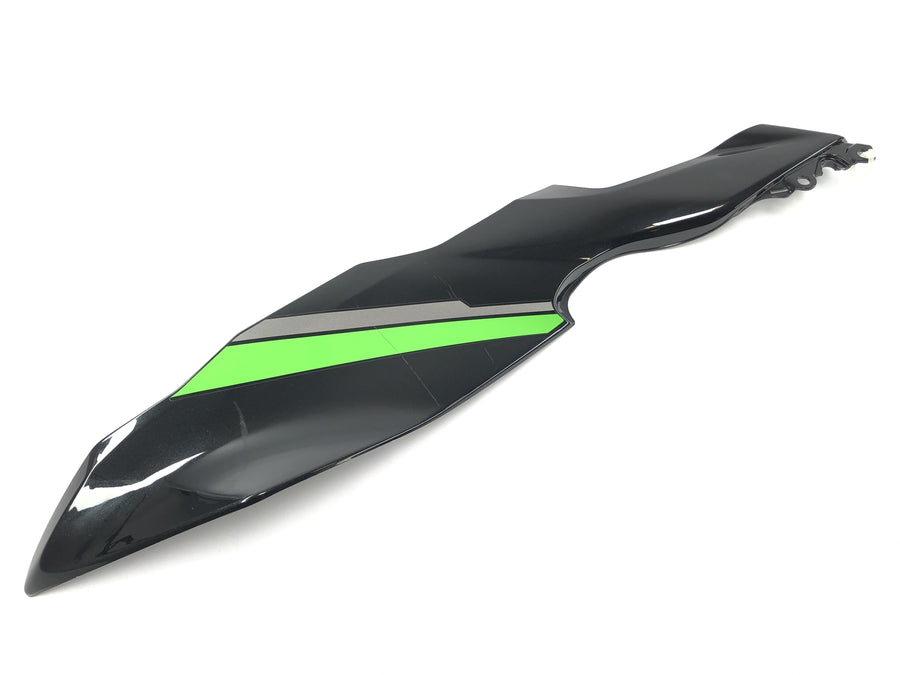 Kawasaki Ninja 125 BX125B [2024] - Page cladding on the right