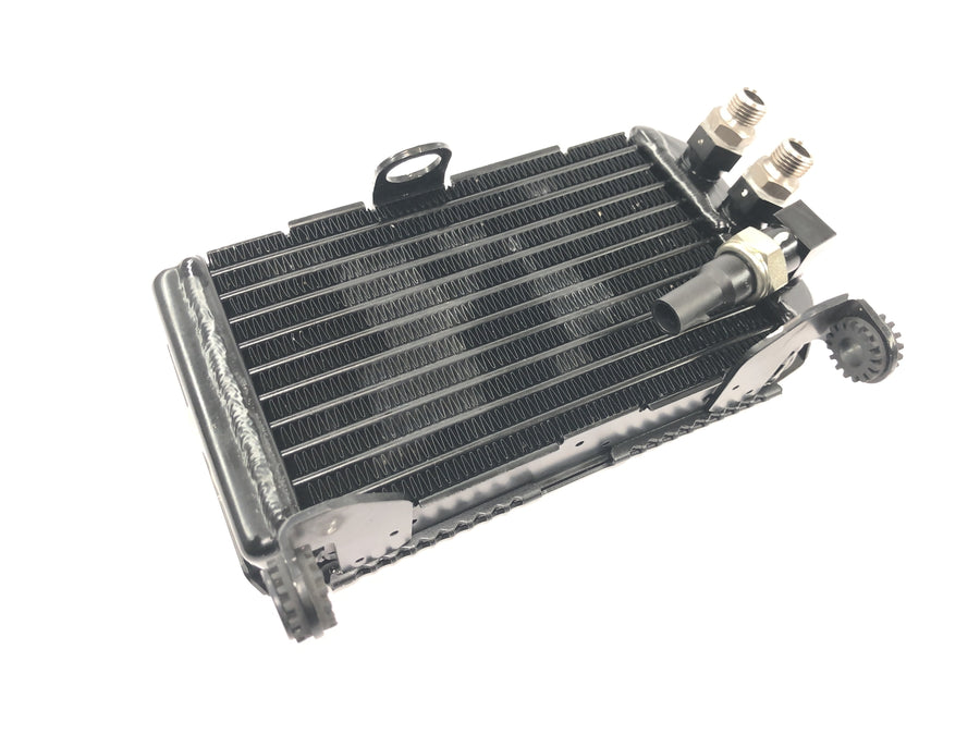 Ducati Multistrada 1200 S Touring [2009] - Oil cooler radiator with protective grille