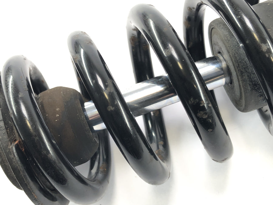 BMW R 1100 RT 259 [1997] - Spring shock absorber in front