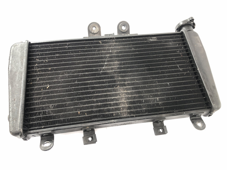 Triumph Speed Triple 1050 515NJ [2007] - Radiator Motorcycle Radiator Heat Exchanger