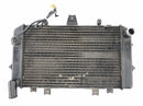 KAWASAKI ZRX 1200 S ZRT20A [2002] - refroidisseur de radiateur de refroidisseur de moteur frais-4
