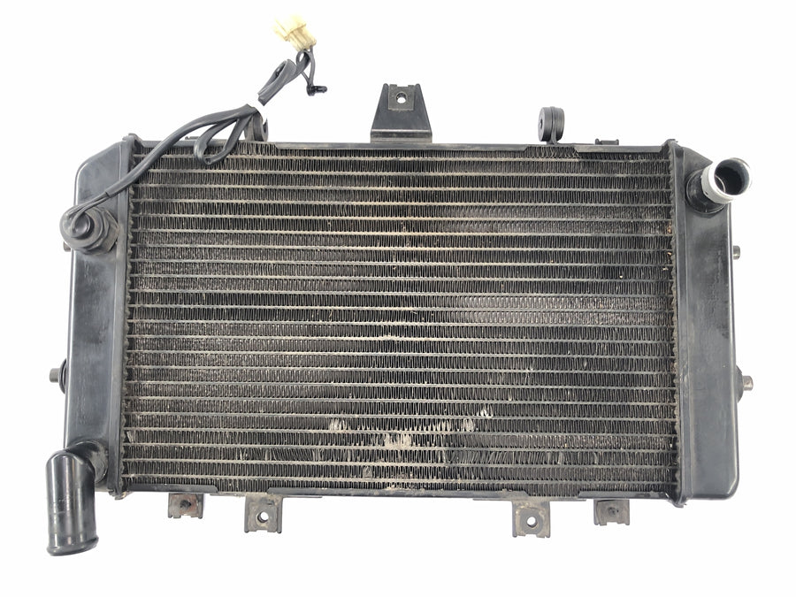 KAWASAKI ZRX 1200 S ZRT20A [2002] - refroidisseur de radiateur de refroidisseur de moteur frais