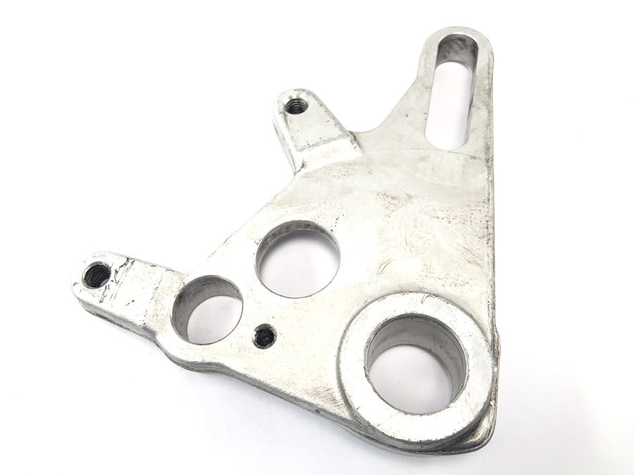 Aprilia RSV 1000 RP Mille [2001] - Brake anchor plate