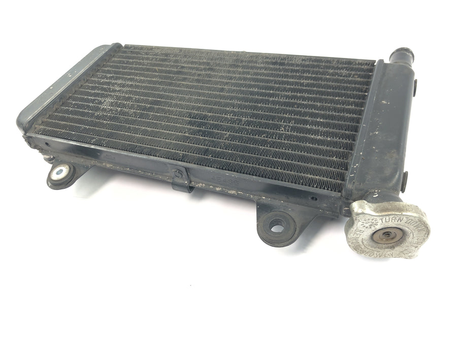 Yamaha MT 03 RM02 [2007] - Kühler Wasserkühler Motorkühler Kühlsystem Radiator