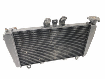 Triumph Speed Triple 1050 515NJ [2007] - Radiator Motorcycle Radiator Heat Exchanger