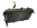 KAWASAKI ZRX 1200 S ZRT20A [2002] - refroidisseur de radiateur de refroidisseur de moteur frais-3