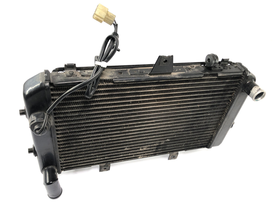 KAWASAKI ZRX 1200 S ZRT20A [2002] - refroidisseur de radiateur de refroidisseur de moteur frais