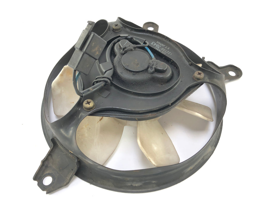 Triumph Daytona 955i T595 [1999] - Kühlerlüfter Lüfter Ventilator