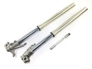 Honda FMX 650 RD12 [2006] - Fork telescopic fork front fork with axle-1